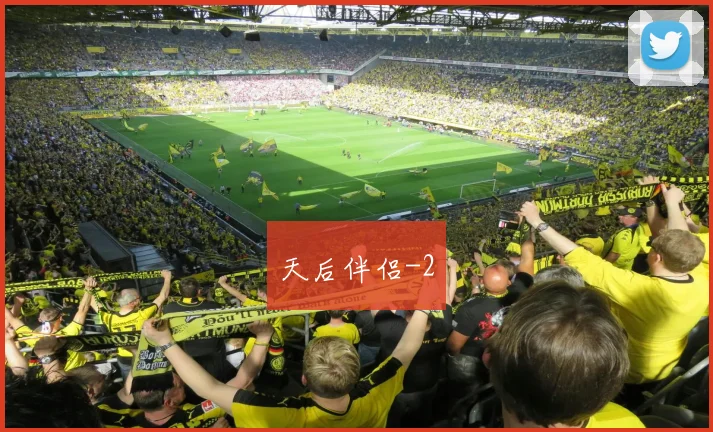 天后伴侣